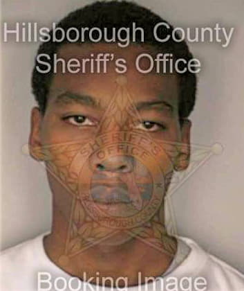 Johnson William - Hillsborough County, FL 