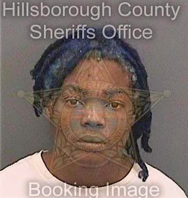 Johnson Demetrius - Hillsborough County, FL 