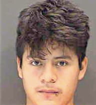 Brito Diego - Sarasota County, FL 