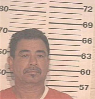 Garza Roman - Hidalgo County, TX 