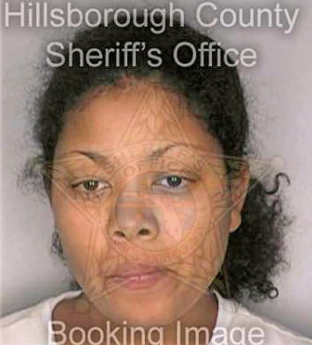 Mateo Angelica - Hillsborough County, FL 