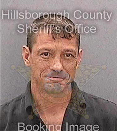 Patino Antonio - Hillsborough County, FL 
