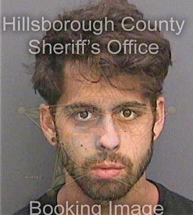 Ambeau Austen - Hillsborough County, FL 