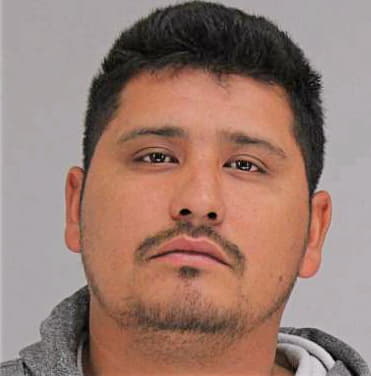 Rodriguezvanegas Avalo - Dallas County, TX 