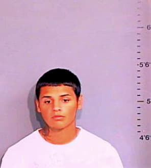 Gonzalez Christopher - Brazos County, TX 