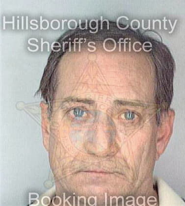 Mclachlan Daniel - Hillsborough County, FL 