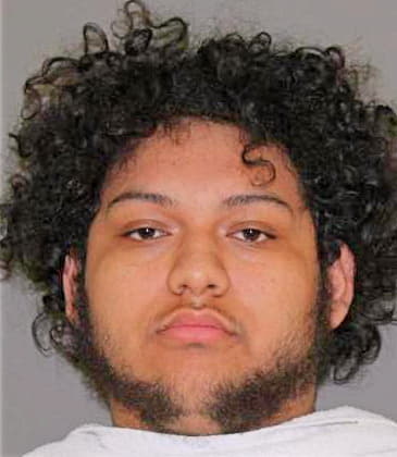 Silva Engel - Denton County, TX 
