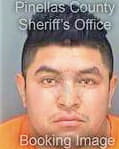 Tepetate-Martinez Fermin - Pinellas County, FL 