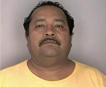 Garay Hector - Hillsborough County, FL 