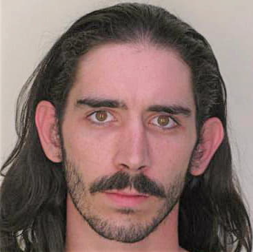 Poe Joshua - Hillsborough County, FL 