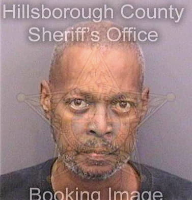 Solomon Michael - Hillsborough County, FL 