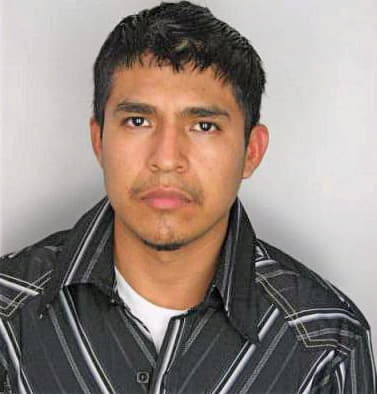 Ramirezramirez Andres - Hillsborough County, FL 