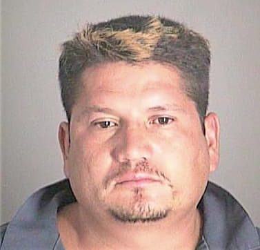 Villaneda Ernesto - Pasco County, FL 