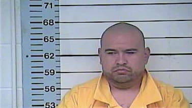 Torres Mario - Desoto County, MS 