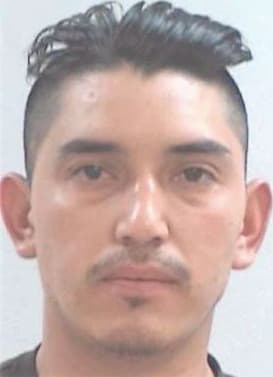 Lozano Alberto - Henry County, GA 
