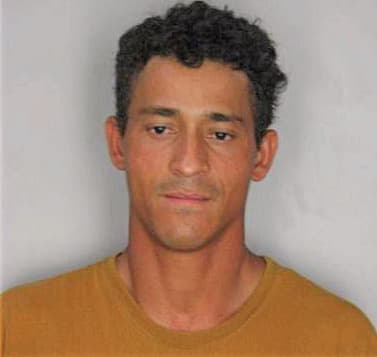Vazeildo Fernandes - Hillsborough County, FL 