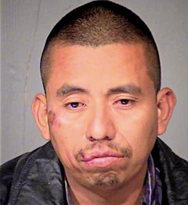 Barreno-Mejia Jose - Maricopa County, AZ 