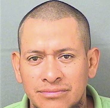 Barrios Leonel - PalmBeach County, FL 