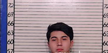 Tobias Mario - Comal County, TX 