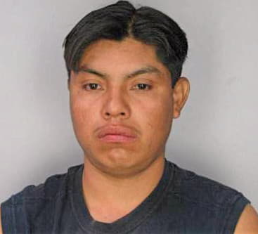 Rosales Maximino - Hillsborough County, FL 