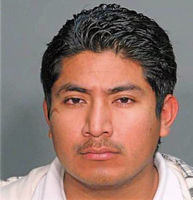 Hernandez Nicolas - Wake County, NC 