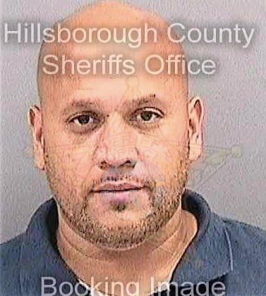Hernandez Alexander - Hillsborough County, FL 