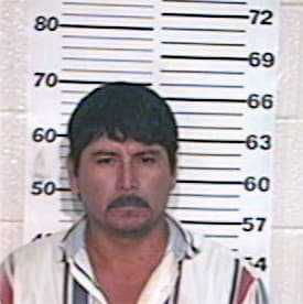 Hernandez Arnulfo - Hidalgo County, TX 