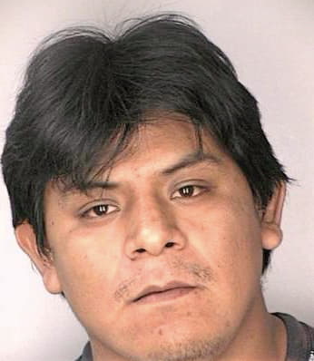Casique Joel - Hillsborough County, FL 