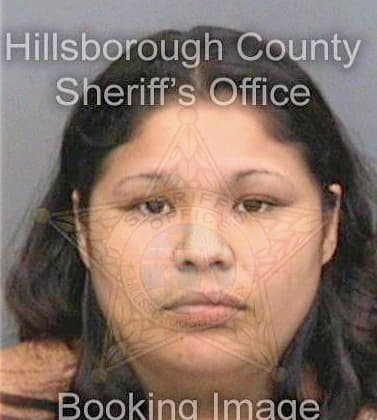 Ramirez Viviana - Hillsborough County, FL 
