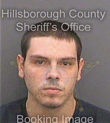 Perez Alex - Hillsborough County, FL 