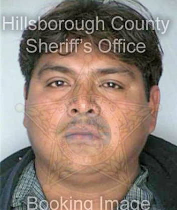Gonzalezgonzalez Alfonso - Hillsborough County, FL 
