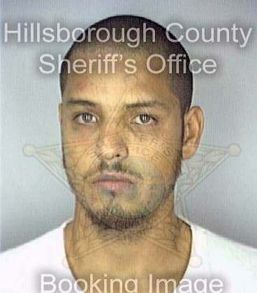 Matos Daniel - Hillsborough County, FL 