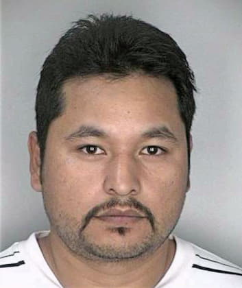 Tomasestrada Homero - Hillsborough County, FL 