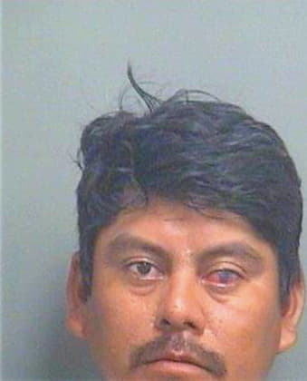 Manuel Jose - PalmBeach County, FL 