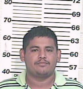 Garcia Manuel - Hidalgo County, TX 