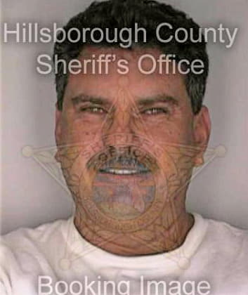 Emmons Michael - Hillsborough County, FL 