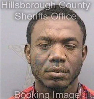 Fernandezlambert Nixon - Hillsborough County, FL 