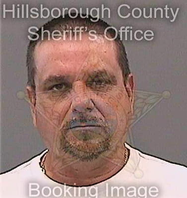 Alfonsocardoso Richardo - Hillsborough County, FL 