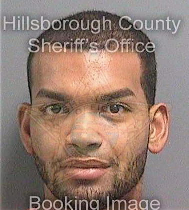 Seay Benjamin - Hillsborough County, FL 