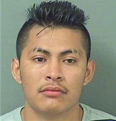 Collazo Diego - PalmBeach County, FL 