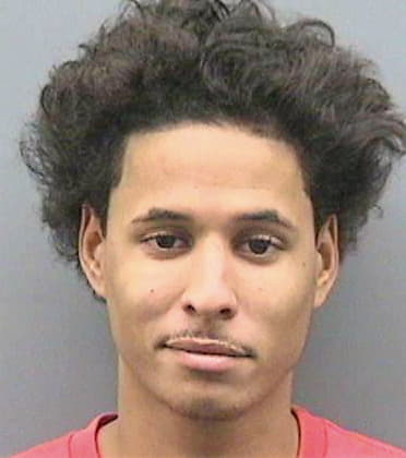 Tineo Edwin - Hillsborough County, FL 
