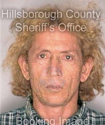 Hernandez Fidel - Hillsborough County, FL 