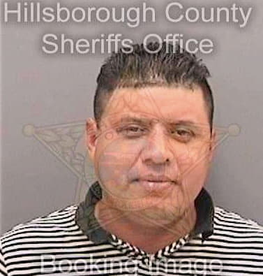 Padillahernandez Jose - Hillsborough County, FL 