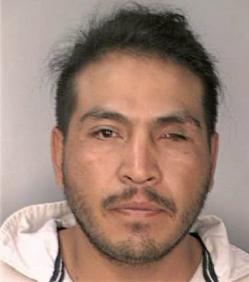 Vasquez Amarador - Hillsborough County, FL 