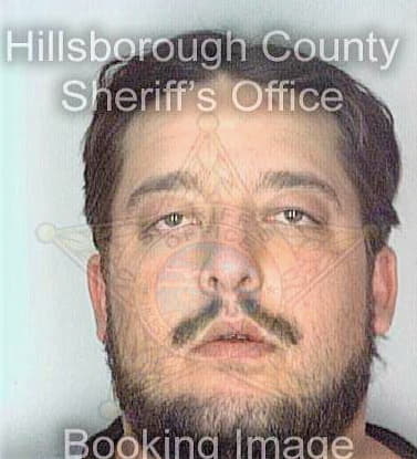 Fogel David - Hillsborough County, FL 