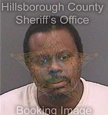 Ford David - Hillsborough County, FL 
