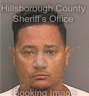 Diazcarrasco Edward - Hillsborough County, FL 
