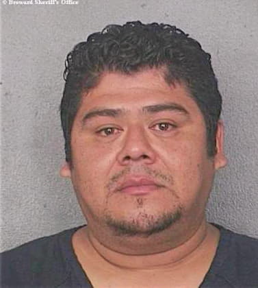 Hernandez Gerson - Broward County, FL 