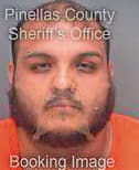 Ponce Saul - Pinellas County, FL 