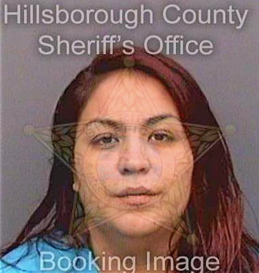 Sandoval Alicia - Hillsborough County, FL 